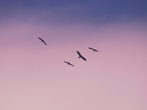 Unabhängig heißt: Die beste Idee gewinnt (von Hendrik Weiß)